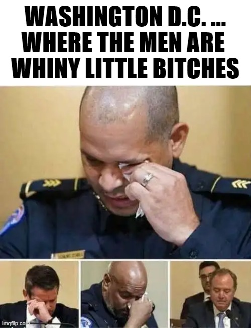 WASHINGTON D.C. ...
WHERE THE MEN ARE 
WHINY LITTLE BITCHES | image tagged in washington dc,january,crying | made w/ Imgflip meme maker