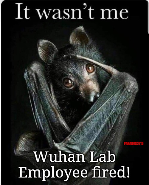 The Scapegoat | Wuhan Lab Employee fired! PARADOX3713 | image tagged in memes,politics,funny,covid,wuhan,vaccines | made w/ Imgflip meme maker