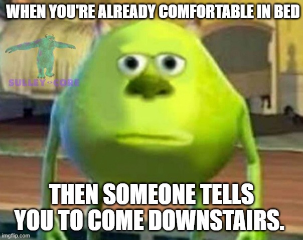 Monsters Inc | WHEN YOU'RE ALREADY COMFORTABLE IN BED; THEN SOMEONE TELLS YOU TO COME DOWNSTAIRS. | image tagged in monsters inc | made w/ Imgflip meme maker