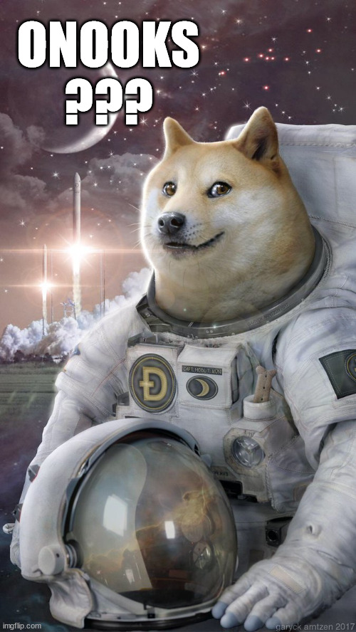 Onooks ??? Moon Landing! | ONOOKS
??? | image tagged in dogecoin,onooks,ooks,defi,uniswap,ethereum | made w/ Imgflip meme maker