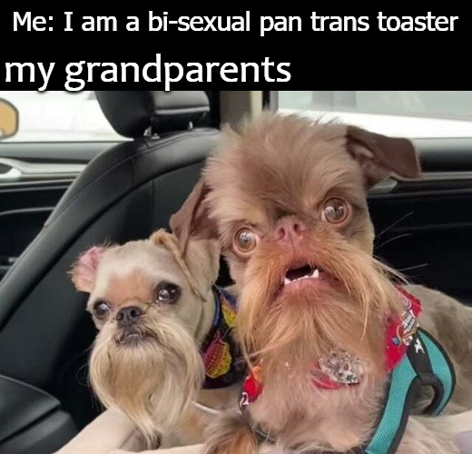 my grandparents; Me: I am a bi-sexual pan trans toaster | image tagged in toaster | made w/ Imgflip meme maker
