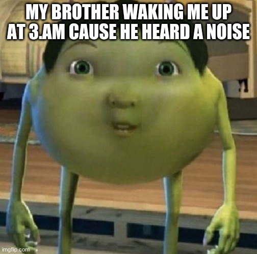 bruh | MY BROTHER WAKING ME UP AT 3.AM CAUSE HE HEARD A NOISE | image tagged in front page | made w/ Imgflip meme maker