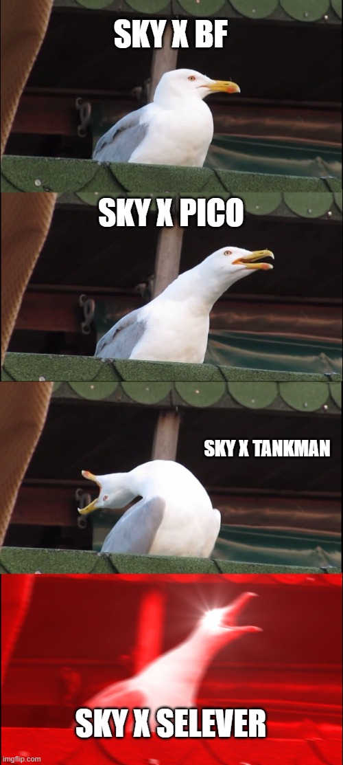 "What's the best Sky X someone ship?" Someone says. | SKY X BF; SKY X PICO; SKY X TANKMAN; SKY X SELEVER | image tagged in memes,inhaling seagull,sky,fnf,friday night funkin | made w/ Imgflip meme maker