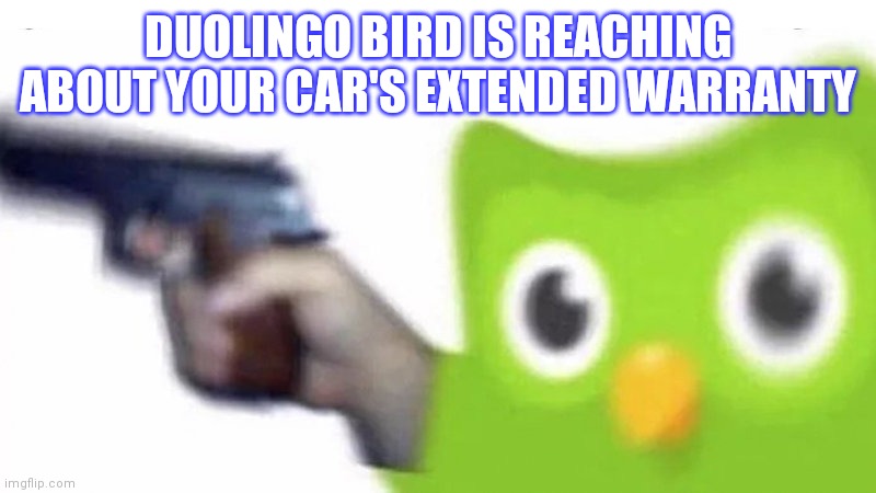 duolingo gun | DUOLINGO BIRD IS REACHING ABOUT YOUR CAR'S EXTENDED WARRANTY | image tagged in duolingo gun | made w/ Imgflip meme maker