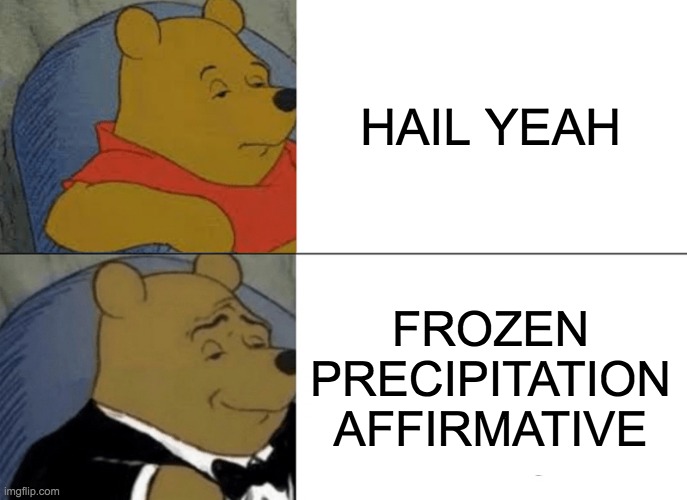 HAIL YEAH MEME | HAIL YEAH; FROZEN PRECIPITATION AFFIRMATIVE | image tagged in memes,tuxedo winnie the pooh | made w/ Imgflip meme maker