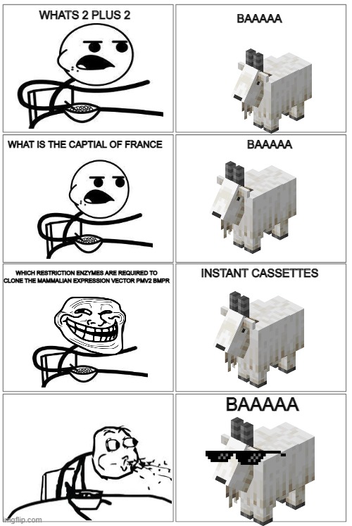 MEMES |  WHATS 2 PLUS 2; BAAAAA; WHAT IS THE CAPTIAL OF FRANCE; BAAAAA; INSTANT CASSETTES; WHICH RESTRICTION ENZYMES ARE REQUIRED TO CLONE THE MAMMALIAN EXPRESSION VECTOR PMV2 BMPR; BAAAAA | image tagged in 2x4 panel empty comic,goat,goats,cereal guy spitting,cereal guy,sunglasses | made w/ Imgflip meme maker