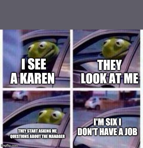 Kermit rolls up window | THEY LOOK AT ME; I SEE A KAREN; I'M SIX I DON'T HAVE A JOB; THEY START ASKING ME QUESTIONS ABOUT THE MANAGER | image tagged in kermit rolls up window | made w/ Imgflip meme maker