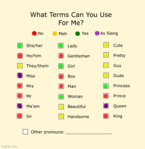 Pronouns Sheet | image tagged in pronouns sheet | made w/ Imgflip meme maker