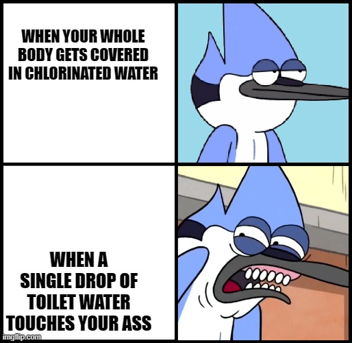 Mordecai disgusted | WHEN YOUR WHOLE BODY GETS COVERED IN CHLORINATED WATER; WHEN A SINGLE DROP OF TOILET WATER TOUCHES YOUR ASS | image tagged in mordecai disgusted | made w/ Imgflip meme maker