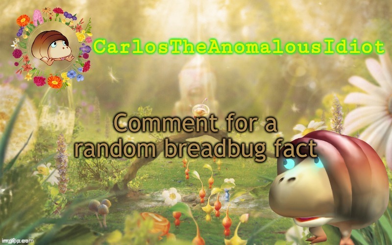 ' | Comment for a random breadbug fact | made w/ Imgflip meme maker