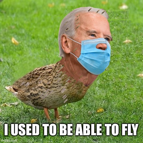 Joe Schmuck Duckfuckwaldo | I USED TO BE ABLE TO FLY | image tagged in joe bidenduck,what a fuckwaldo | made w/ Imgflip meme maker