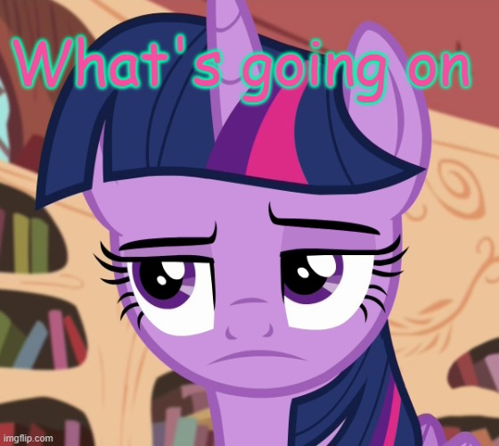 Unamused Twilight Sparkle (MLP) | What's going on | image tagged in unamused twilight sparkle mlp | made w/ Imgflip meme maker