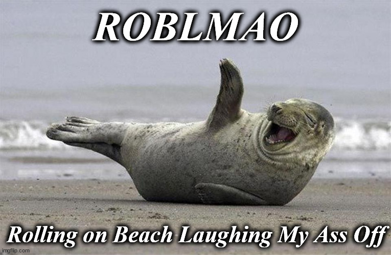 roblmao | ROBLMAO; Rolling on Beach Laughing My Ass Off | image tagged in roblmao | made w/ Imgflip meme maker