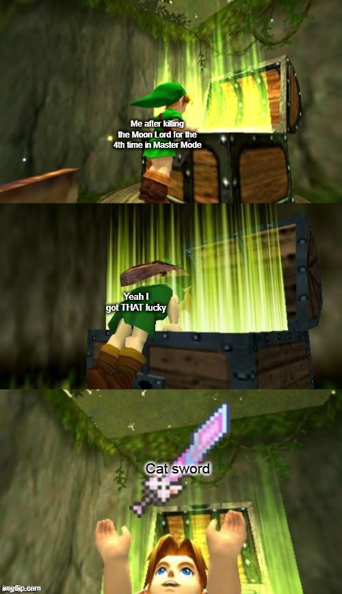 Link Gets Item | Me after killing the Moon Lord for the 4th time in Master Mode; Yeah I got THAT lucky; Cat sword | image tagged in link gets item | made w/ Imgflip meme maker
