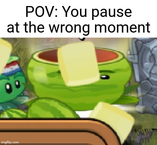 I'm thinking of making this a template. | POV: You pause at the wrong moment | image tagged in memes,plants vs zombies,pov,oh wow are you actually reading these tags | made w/ Imgflip meme maker