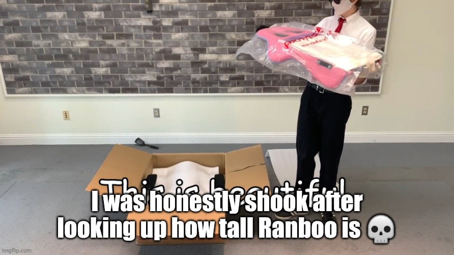 He's a whole foot taller than me- | I was honestly shook after looking up how tall Ranboo is 💀 | image tagged in this is beautiful | made w/ Imgflip meme maker
