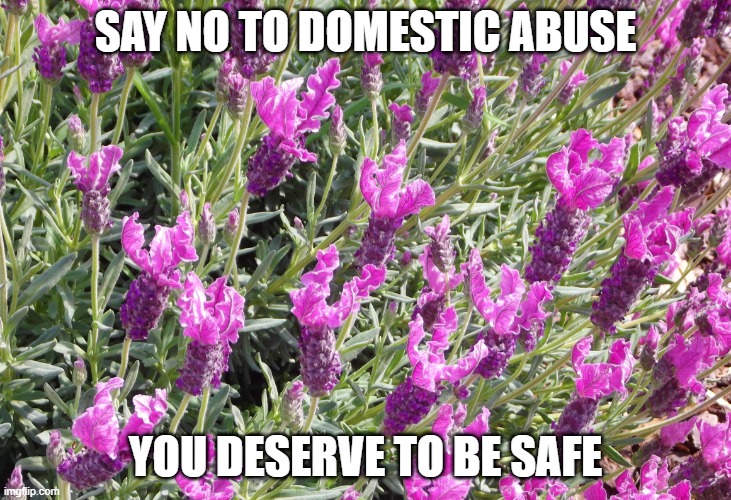 Say No to Domestic Abuse | SAY NO TO DOMESTIC ABUSE; YOU DESERVE TO BE SAFE | image tagged in say no to domestic abuse | made w/ Imgflip meme maker
