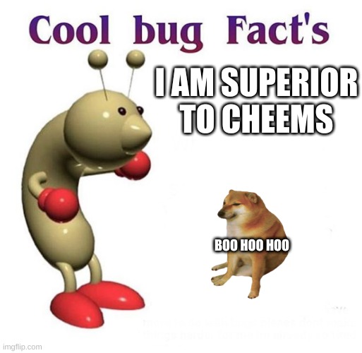 I am | I AM SUPERIOR TO CHEEMS; BOO HOO HOO | image tagged in cool bug facts,cheems,memes | made w/ Imgflip meme maker