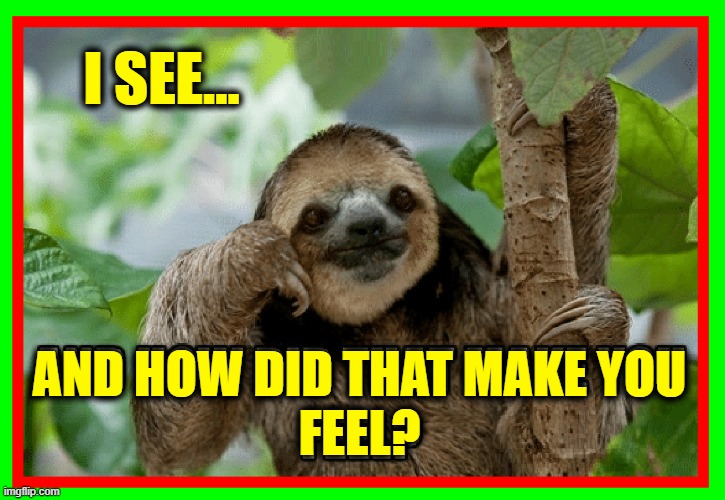 Dr. Sloth, psychiatrist | I SEE... AND HOW DID THAT MAKE YOU
FEEL? | image tagged in vince vance,whisper sloth,psychiatrist,psychoanalyst,funny animal meme,psychology | made w/ Imgflip meme maker