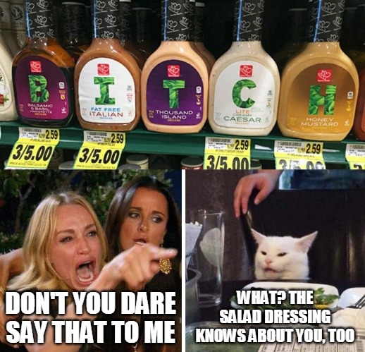 WHAT? THE SALAD DRESSING KNOWS ABOUT YOU, TOO; DON'T YOU DARE SAY THAT TO ME | image tagged in smudge the cat,memes | made w/ Imgflip meme maker