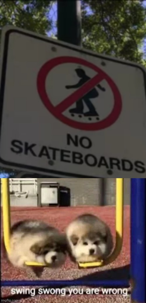 These are roller skates, not skateboards | image tagged in swing swong you are wrong,funny,memes,funny memes,skateboarding,oh wow are you actually reading these tags | made w/ Imgflip meme maker