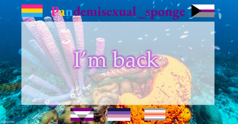 Hey | I’m back | image tagged in pandemisexual_sponge temp,demisexual_sponge | made w/ Imgflip meme maker