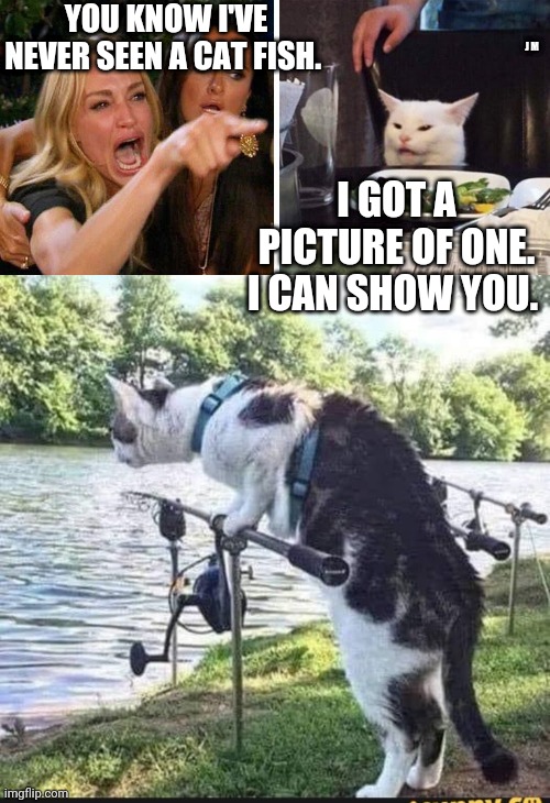 YOU KNOW I'VE NEVER SEEN A CAT FISH. J M; I GOT A PICTURE OF ONE. I CAN SHOW YOU. | image tagged in smudge the cat | made w/ Imgflip meme maker
