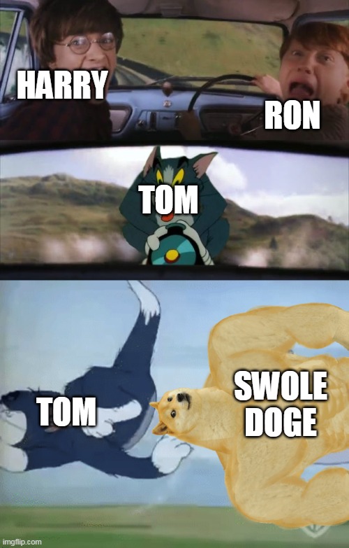 RON; HARRY; TOM; SWOLE DOGE; TOM | image tagged in monkey,toom her,hje,rick roll | made w/ Imgflip meme maker