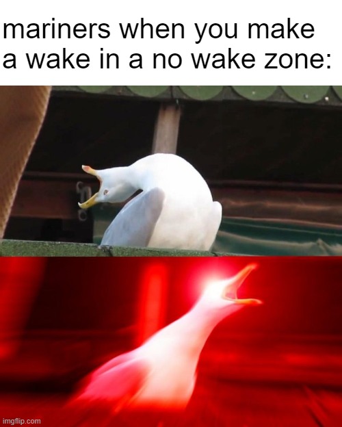 no wake | mariners when you make a wake in a no wake zone: | image tagged in boy seagull,uscg,coast guard,military,memes | made w/ Imgflip meme maker