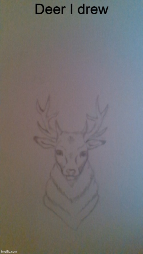 Deer I drew | Deer I drew | image tagged in deer | made w/ Imgflip meme maker