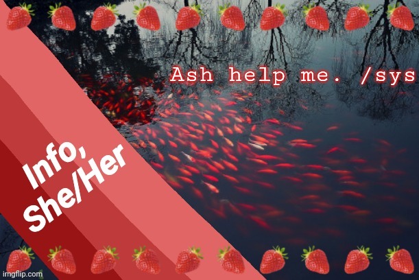 Ash help me. /sys | image tagged in info | made w/ Imgflip meme maker