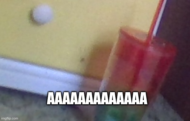 THAT DOT IS A HUGE BLASTED SPIDERRRRRR | AAAAAAAAAAAAA | image tagged in spider | made w/ Imgflip meme maker