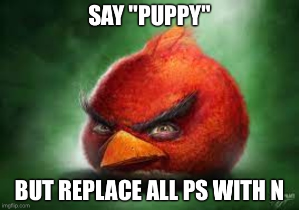 Realistic Red Angry Birds | SAY "PUPPY" BUT REPLACE ALL PS WITH N | image tagged in realistic red angry birds | made w/ Imgflip meme maker