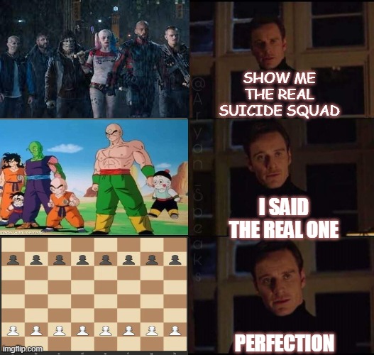 Perfect Suicide Squad | SHOW ME THE REAL SUICIDE SQUAD; I SAID THE REAL ONE; PERFECTION | image tagged in show me the real | made w/ Imgflip meme maker