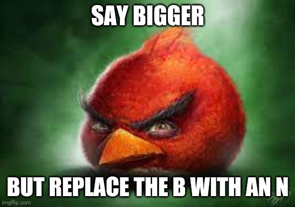 Realistic Red Angry Birds | SAY BIGGER BUT REPLACE THE B WITH AN N | image tagged in realistic red angry birds | made w/ Imgflip meme maker