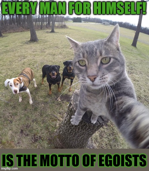 'Every man for himself!' | EVERY MAN FOR HIMSELF! IS THE MOTTO OF EGOISTS | image tagged in lolcat,selfish | made w/ Imgflip meme maker