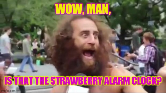 New age hippy | WOW, MAN, IS THAT THE STRAWBERRY ALARM CLOCK? | image tagged in new age hippy | made w/ Imgflip meme maker