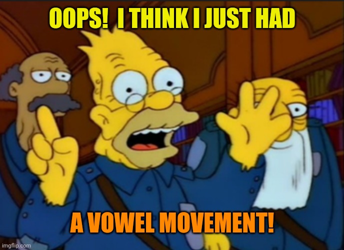 Style at the time | OOPS!  I THINK I JUST HAD A VOWEL MOVEMENT! | image tagged in style at the time | made w/ Imgflip meme maker