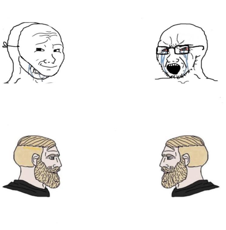 High Quality Wojak and Nordic Gamer Blank Meme Template