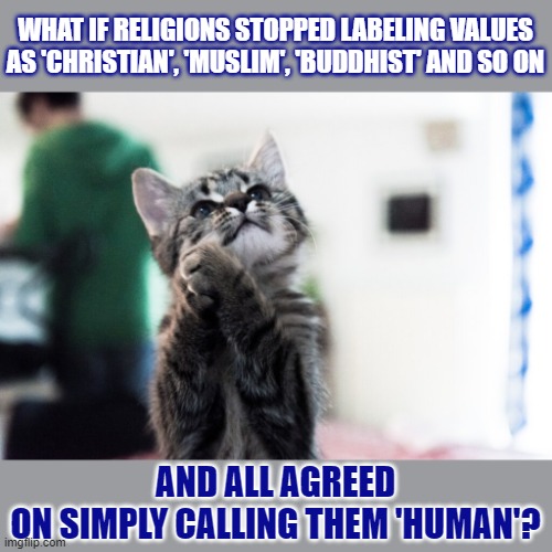Let's stop labeling values, shall we? |  WHAT IF RELIGIONS STOPPED LABELING VALUES
AS 'CHRISTIAN', 'MUSLIM', 'BUDDHIST' AND SO ON; AND ALL AGREED
ON SIMPLY CALLING THEM 'HUMAN'? | image tagged in lolcat,religion,christianity,buddhism,islam | made w/ Imgflip meme maker