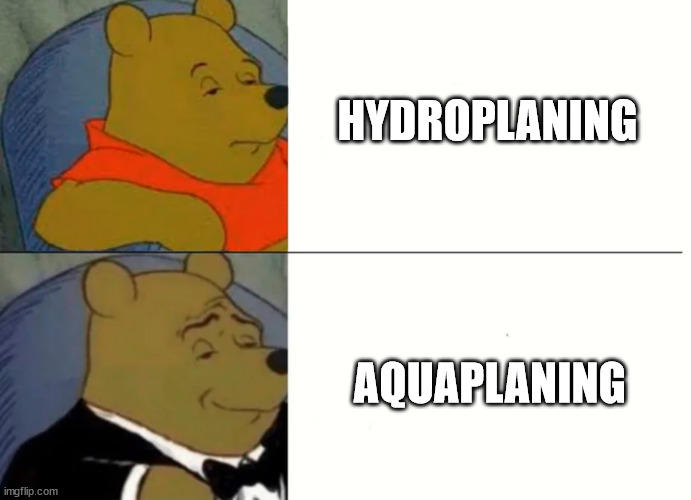 Fancy Winnie The Pooh Meme | HYDROPLANING; AQUAPLANING | image tagged in fancy winnie the pooh meme,formuladank | made w/ Imgflip meme maker