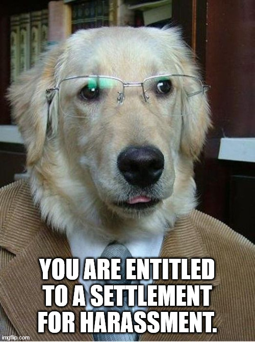 YOU ARE ENTITLED TO A SETTLEMENT FOR HARASSMENT. | made w/ Imgflip meme maker