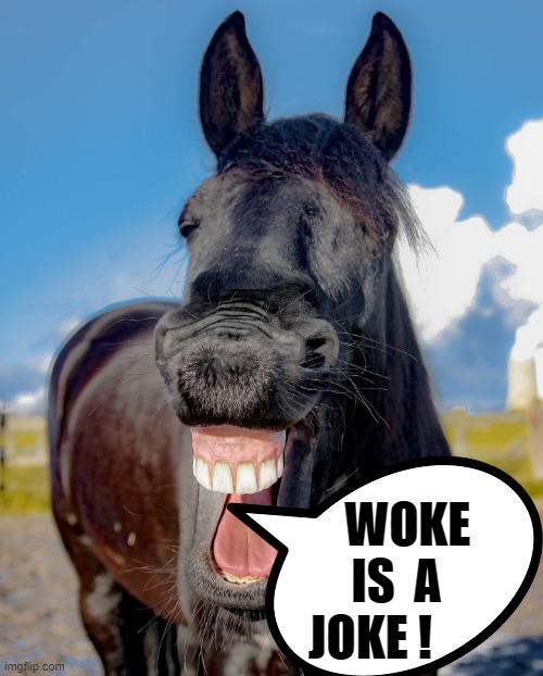 WOKE IS A JOKE ! | WOKE      
  IS  A         
JOKE ! | image tagged in dumbass | made w/ Imgflip meme maker