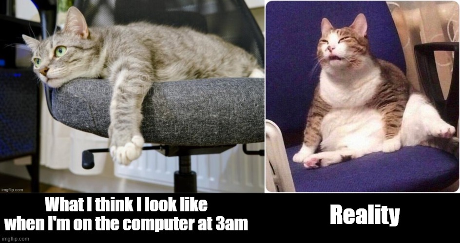 Reality Check | Reality; What I think I look like when I'm on the computer at 3am | image tagged in funny cats,cats,memes,late night,reality check,expectation vs reality | made w/ Imgflip meme maker