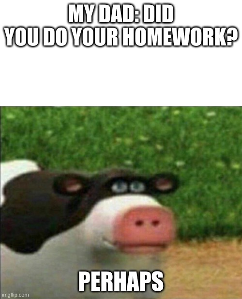 Homework be like | MY DAD: DID YOU DO YOUR HOMEWORK? PERHAPS | image tagged in perhaps cow,memes,funny,dad,homework | made w/ Imgflip meme maker