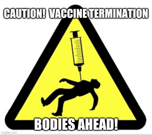 Vactermination! | CAUTION!  VACCINE TERMINATION; BODIES AHEAD! | image tagged in bill gates loves vaccines,terminal | made w/ Imgflip meme maker