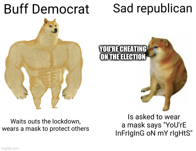 you prop cheems | Buff Democrat Sad republican Waits outs the lockdown, wears a mask to protect others Is asked to wear a mask says "YoU'rE InFrIgInG oN mY rI | image tagged in memes,buff doge vs cheems | made w/ Imgflip meme maker