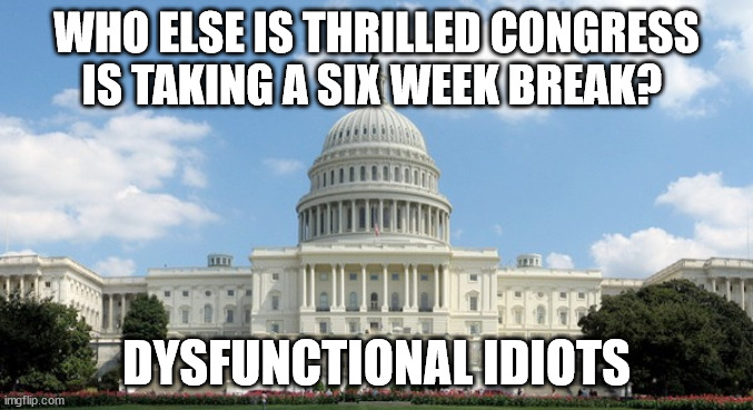 Idiots | WHO ELSE IS THRILLED CONGRESS IS TAKING A SIX WEEK BREAK? DYSFUNCTIONAL IDIOTS | image tagged in ugh congress | made w/ Imgflip meme maker