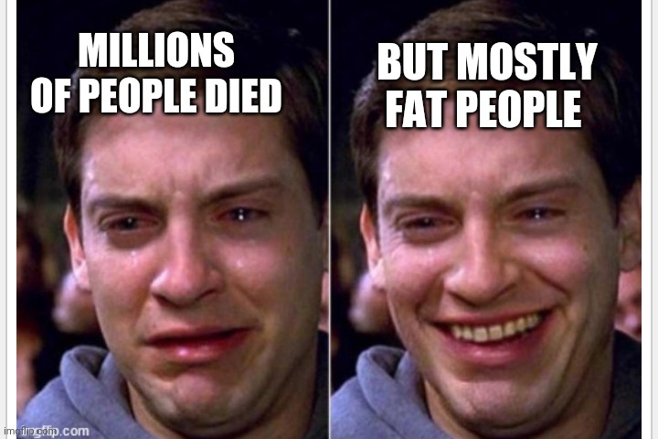 Crying | MILLIONS OF PEOPLE DIED BUT MOSTLY FAT PEOPLE | image tagged in crying | made w/ Imgflip meme maker