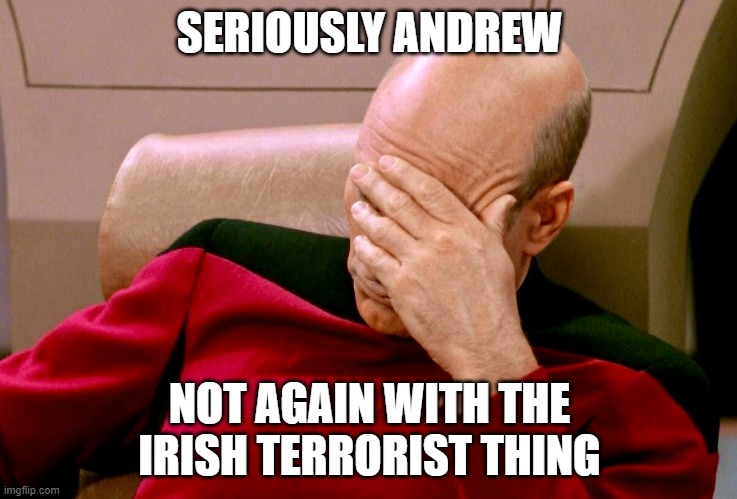 YOU purposely did this, you are super immature | SERIOUSLY ANDREW; NOT AGAIN WITH THE IRISH TERRORIST THING | image tagged in not again | made w/ Imgflip meme maker